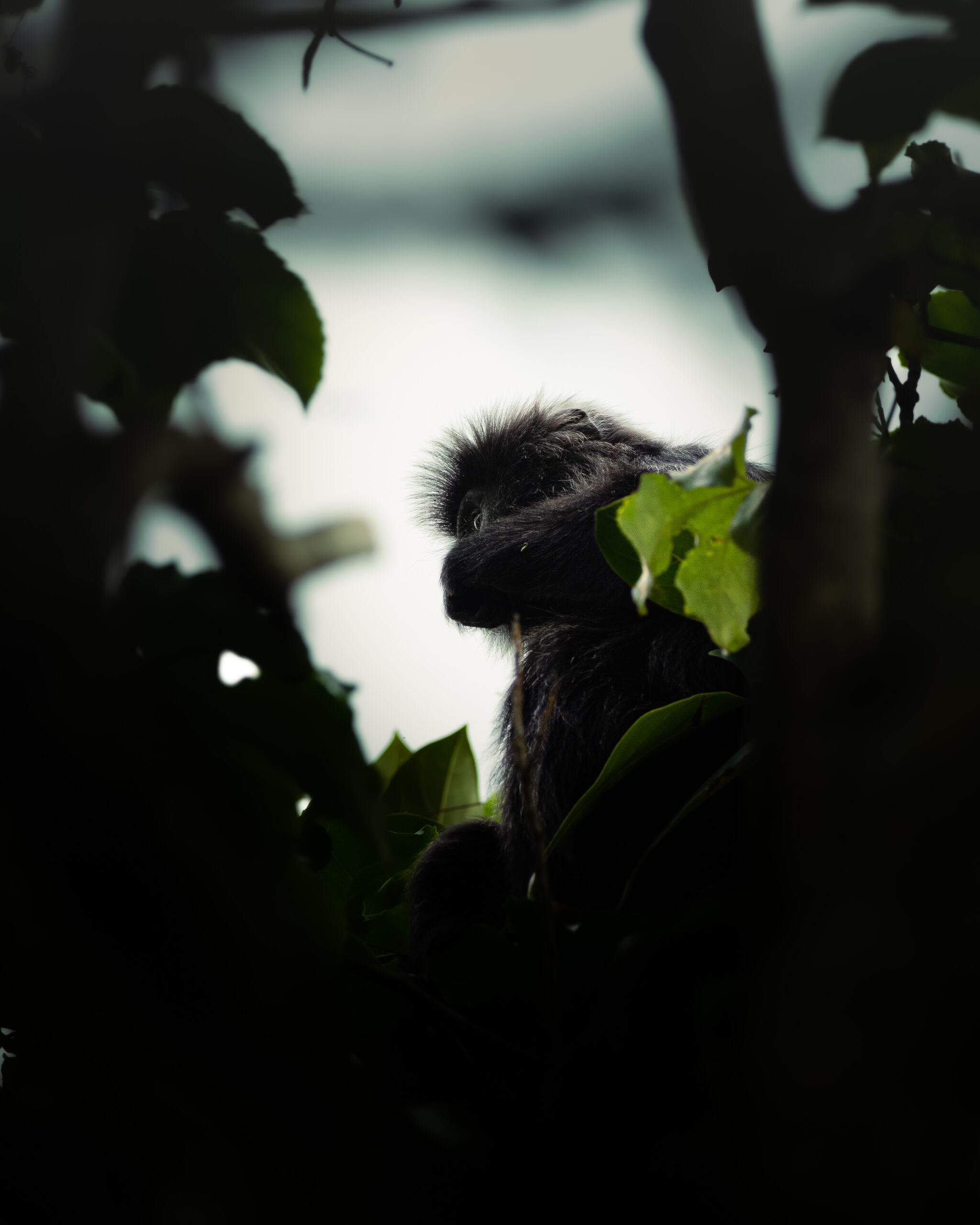 7D2_3251