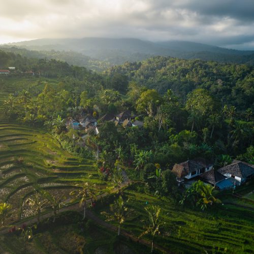 DJI_0477 DJI_0477